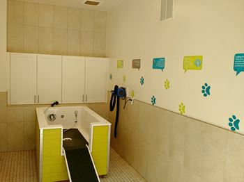 Hawthorne at the summit pet wash
